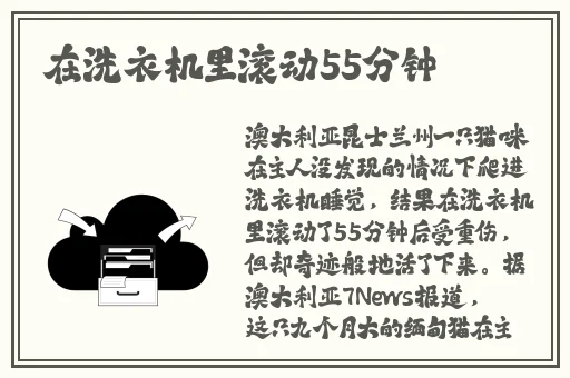 人狗畜禽company